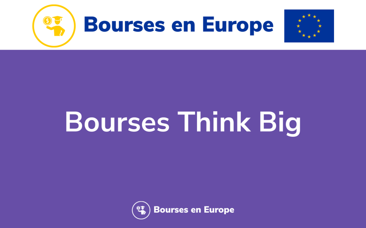 Les 11 bourses detudes Think Big