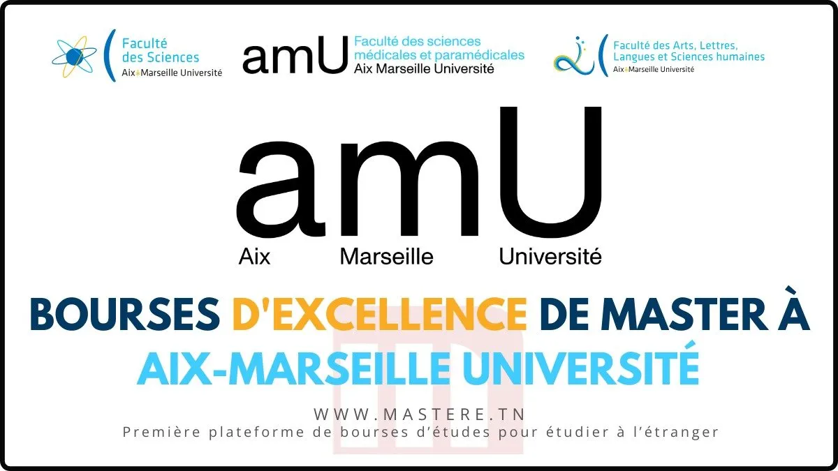 Bourses dExcellence Master TIGER de lAix Marseille Universite 2025